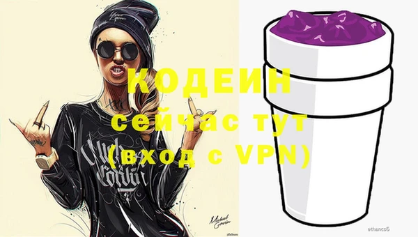 мдпв Елабуга