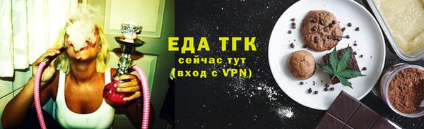 мдпв Елабуга