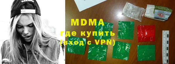гидра Ельня
