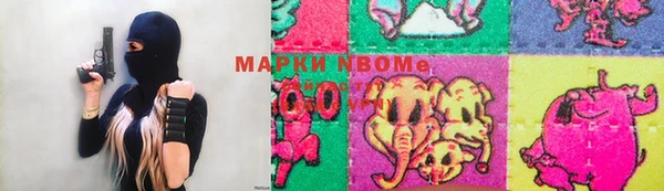 мдпв Елабуга