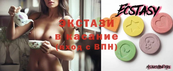 мдпв Елабуга