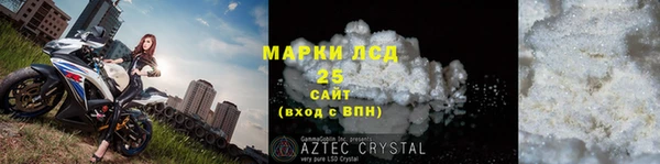 гидра Ельня