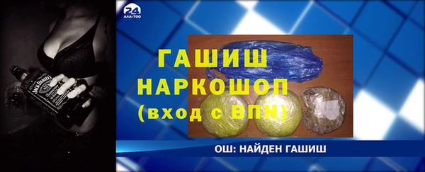 гидра Ельня