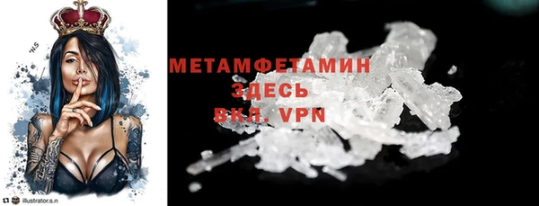 гидра Ельня