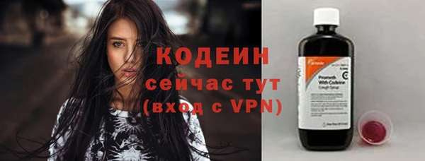 гидра Ельня