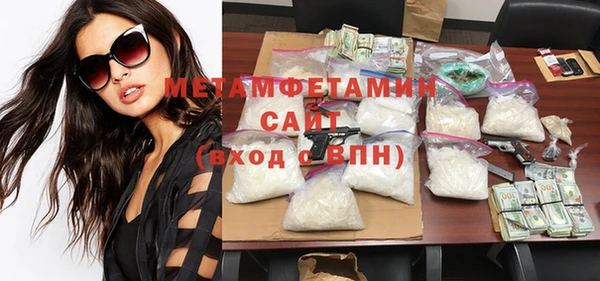 гидра Ельня
