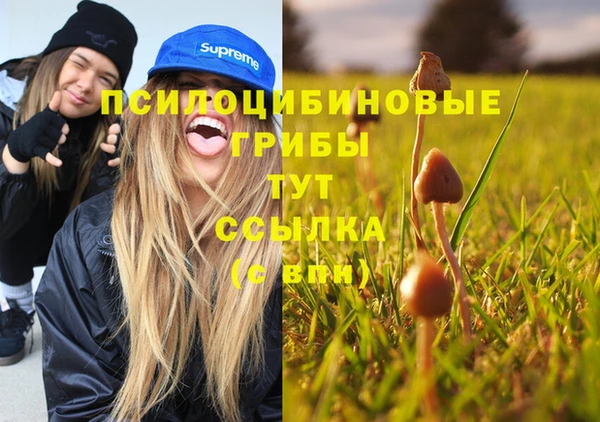 мдпв Елабуга