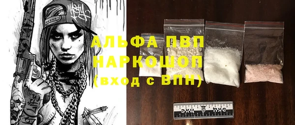 гидра Ельня