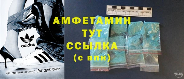 гидра Ельня