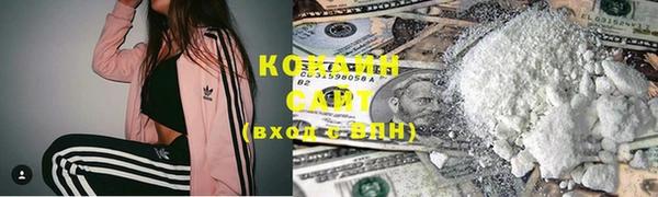 мдпв Елабуга