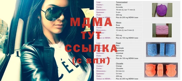 мдпв Елабуга
