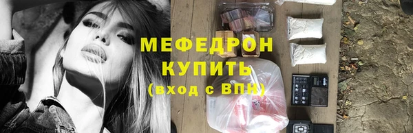 гидра Ельня