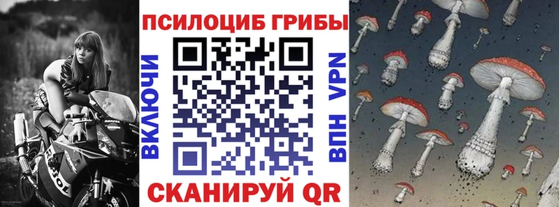 Галлюциногенные грибы Psilocybine cubensis  Безенчук 